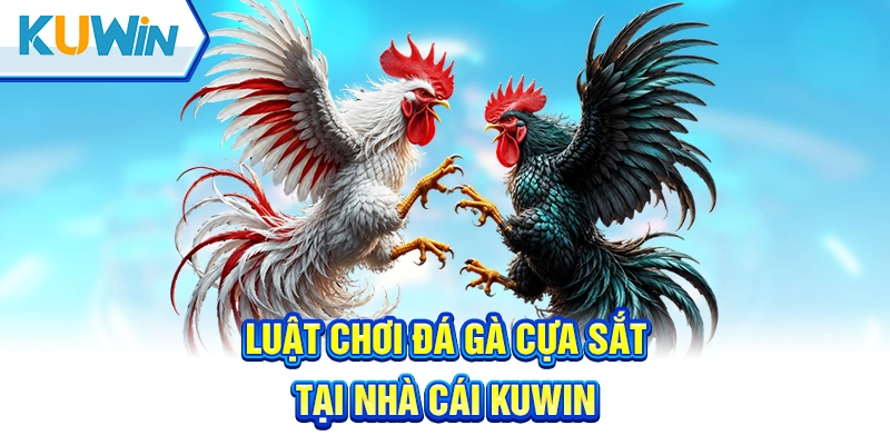 Hướng dẫn luật siêu thông dụng